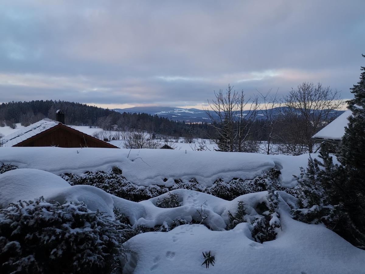 Ferienwohnungen "Haus Daxberg" Idyllisch Gelegen Im Bayerischen Wald Eppenschlag Ngoại thất bức ảnh