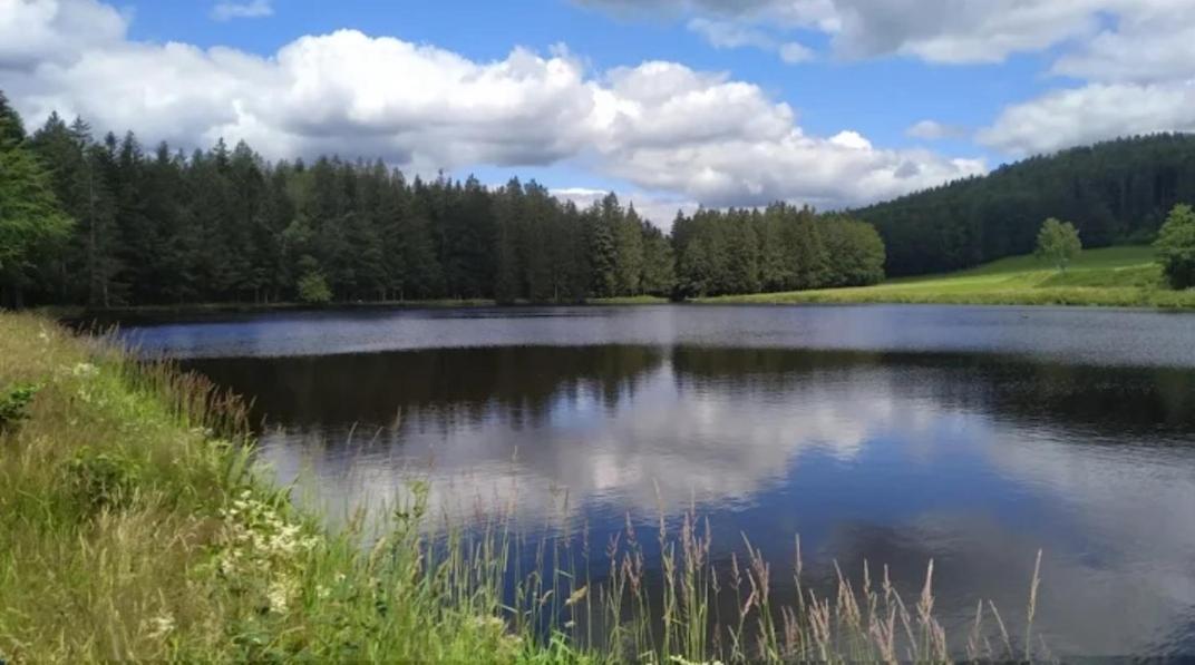 Ferienwohnungen "Haus Daxberg" Idyllisch Gelegen Im Bayerischen Wald Eppenschlag Ngoại thất bức ảnh