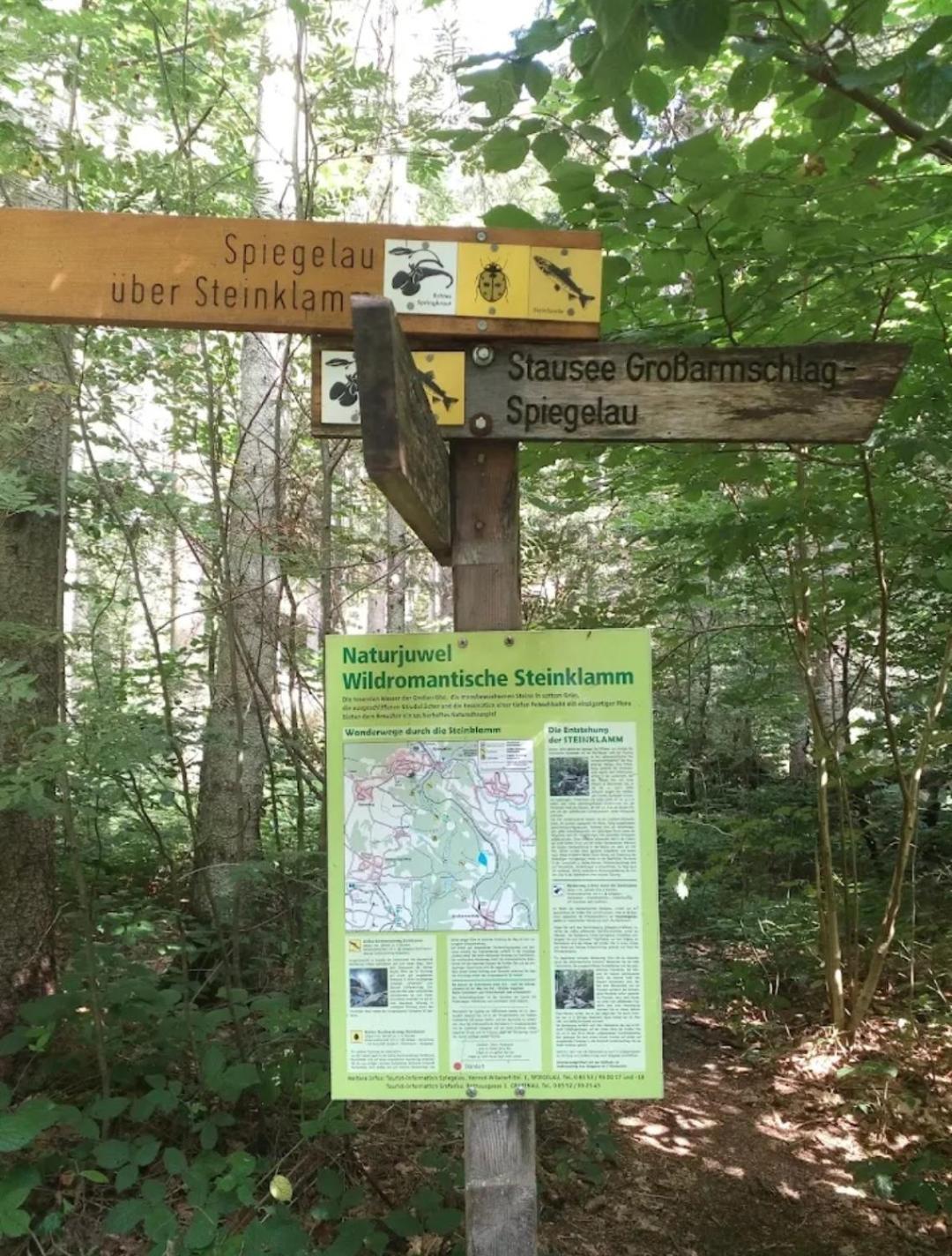 Ferienwohnungen "Haus Daxberg" Idyllisch Gelegen Im Bayerischen Wald Eppenschlag Phòng bức ảnh